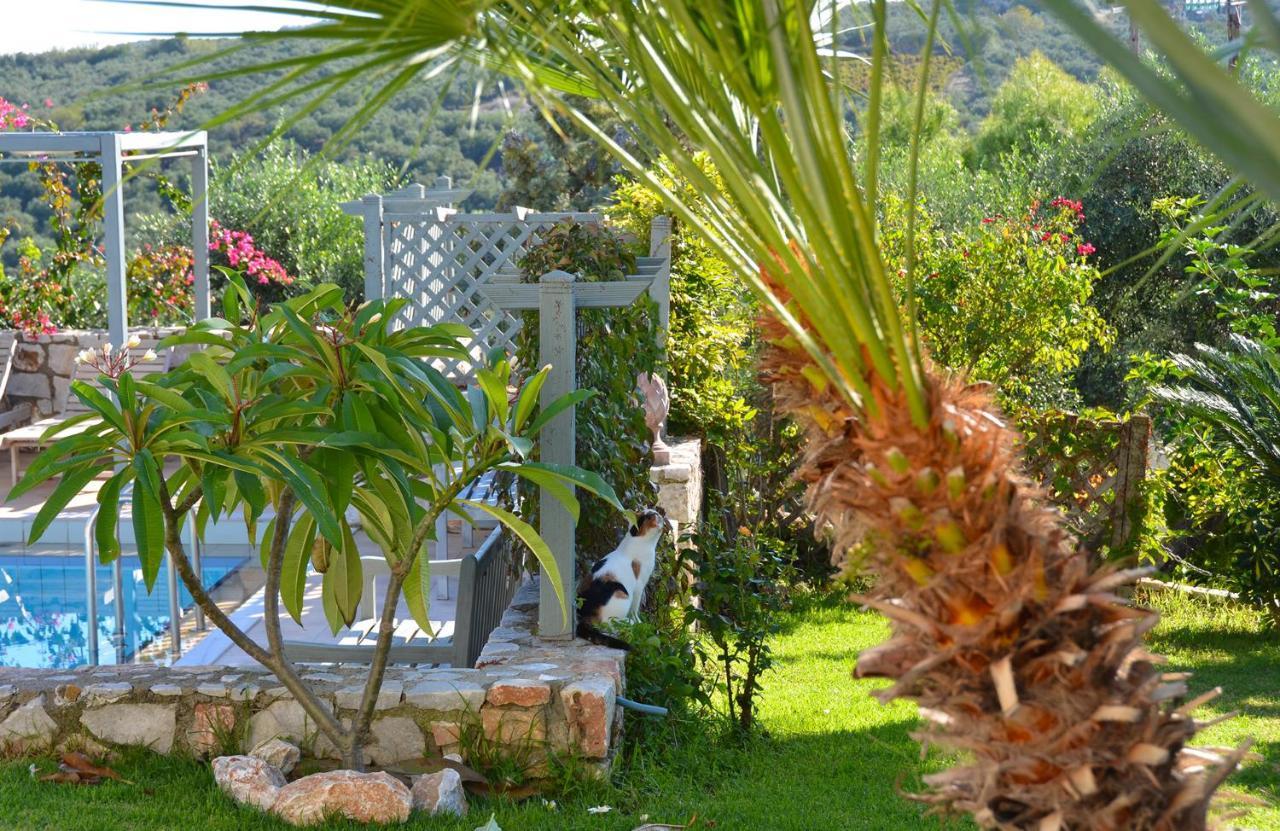 West Crete Chania - Villa Europa Darmarochori Екстер'єр фото